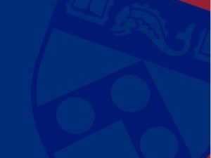 shield shield